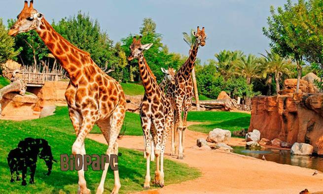 Bioparc Metro Valencia Apartment Bagian luar foto